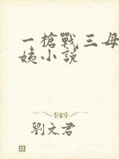 一枪战三母2雪姨小说封面