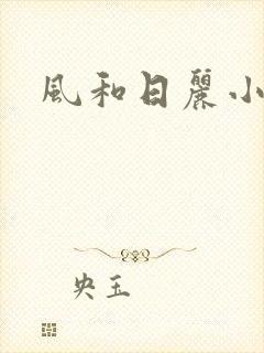 风和日丽小说