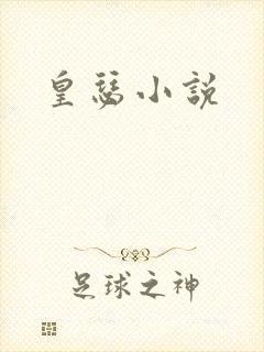 皇瑟小说