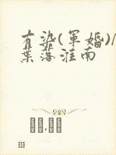 有染(军婚)/叶落淮南