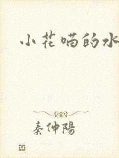 小花喵的水蜜桃