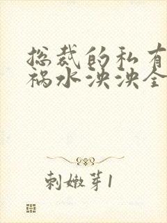 总裁的私有宝贝祸水泱泱全文阅读