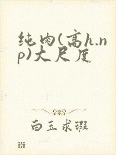 纯肉(高h.np)大尺度