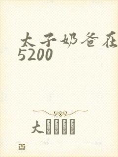 太子奶爸在花都5200