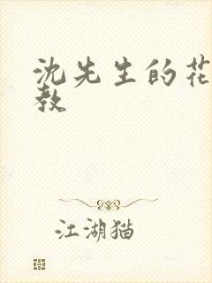 沈先生的花式管教封面