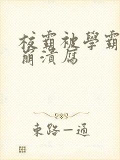 校霸被学霸玩到崩溃腐