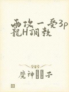 两攻一受3p双龙H调教