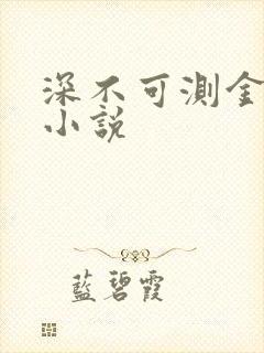 深不可测金银花小说封面
