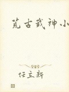 荒古武神小说