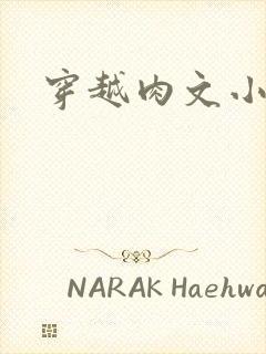 穿越肉文小说封面