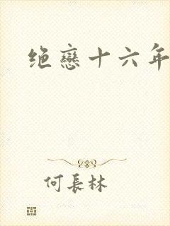 绝恋十六年封面