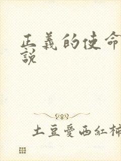 正义的使命 小说