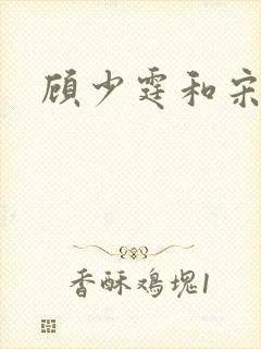 顾少霆和宋斯曼