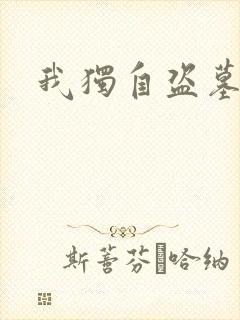 我独自盗墓
