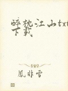 醉枕江山txt下载封面