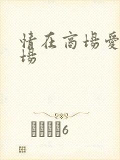 情在商场爱在官场