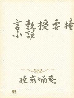 言教授要撞坏了小说