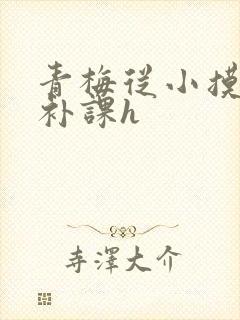 青梅从小摸到大补课h