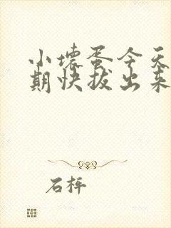 小坏蛋今天危险期快拔出来