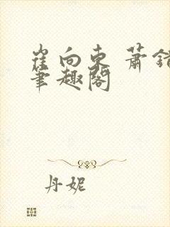 崔向东 萧错 笔趣阁