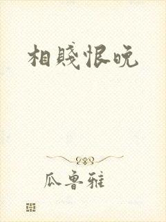 相贱恨晚封面