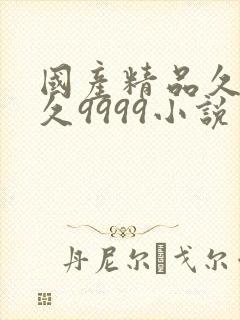 国产精品久久久久9999小说