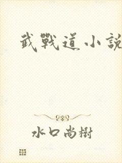 武战道小说封面