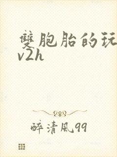 双胞胎的玩具1v2h