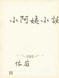 小阿姨小说