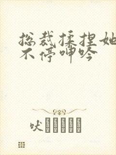 总裁揉捏她两乳不停呻吟