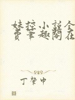 妹控小说全文免费笔趣阁在线阅读