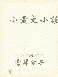 小黄文小说封面