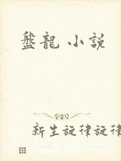 盘龙 小说