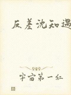 反差沈知遇晏应