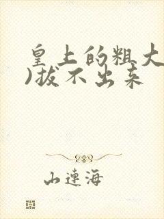 皇上的粗大(h)拔不出来