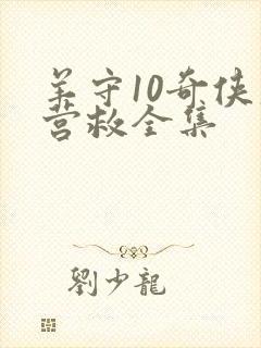 羊守10奇侠大营救全集封面