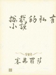 总裁的私有宝贝小说