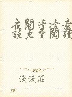 夜阑清冷意欢小说免费阅读
