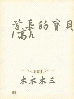 首长的宝贝1v1高h