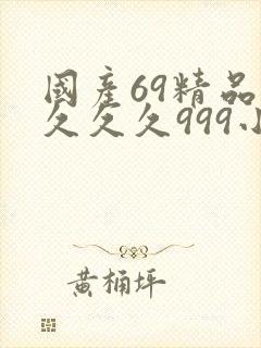 国产69精品久久久久999小说