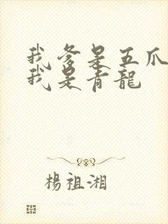 我爹是五爪金龙我是青龙封面