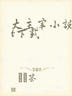 大主宰小说txt下载