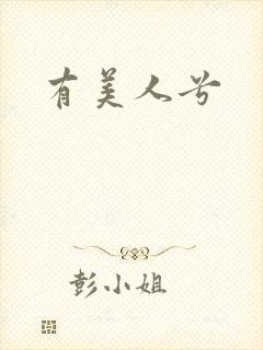 有美人兮
