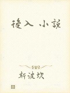 后入 小说