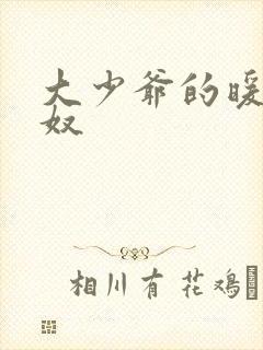 大少爷的暖床小奴