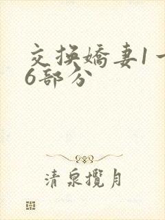 交换娇妻1一36部分
