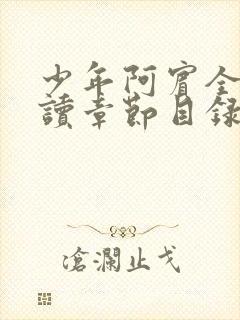 少年阿宾全文阅读章节目录