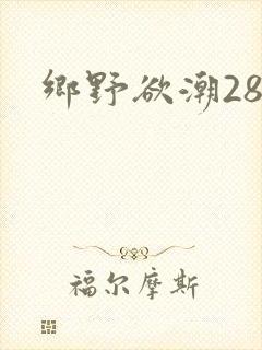 乡野欲潮28章封面