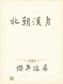北朝汉月