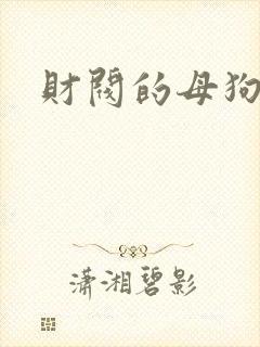 财阀的母狗们